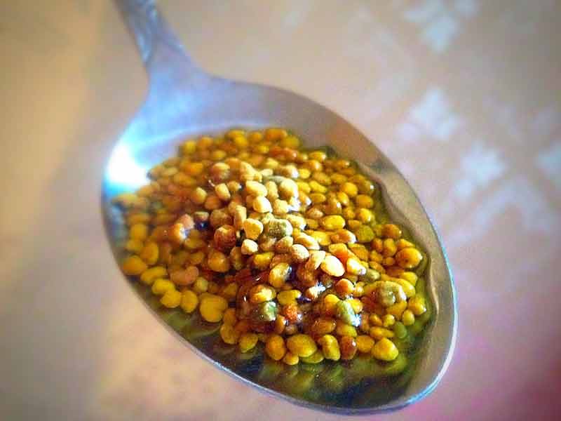 گرده‌ی زنبور عسل