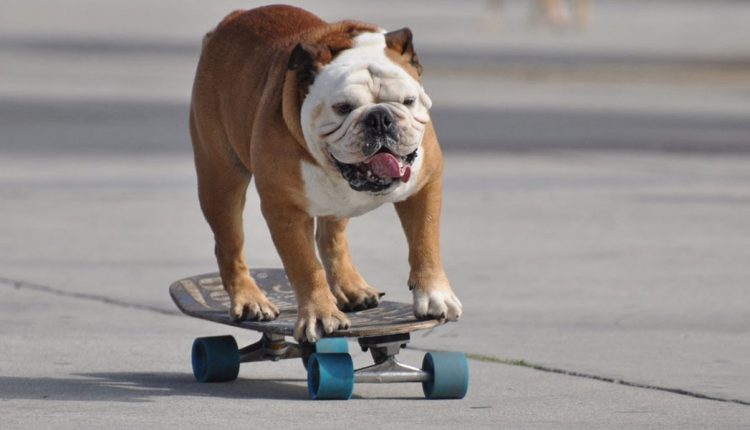 چطور با هوشمندانه کار کردن بهره‌وری را افزایش دهیم