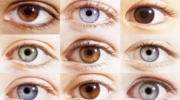 [عکس: percentages-different-eye-colors_final.jpg]