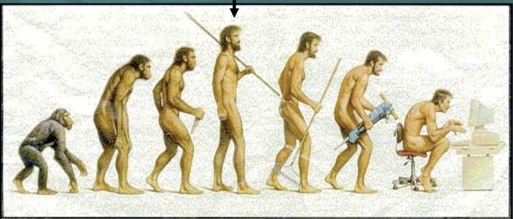 ناسازگاری تکاملی