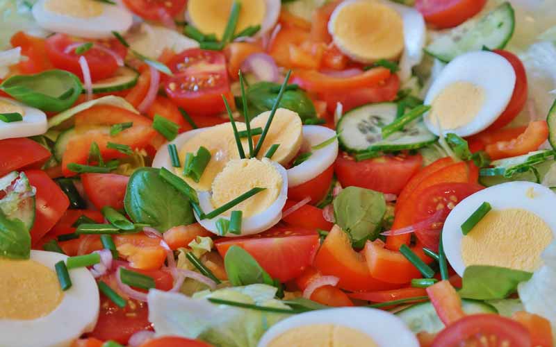 رژیم گیاه‌خواری