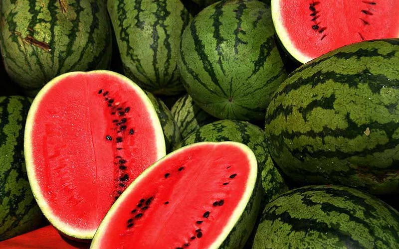 Watermelons_0F88A4E7D8BB4.jpg