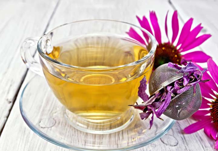 سرخارگل برای درمان سرماخوردگی