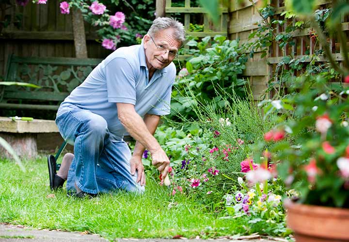 دنباله‌روی از علایق به دوست یابی کمک می‌کند.