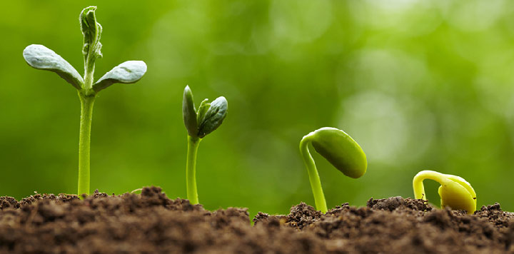 توسعه‌ی پایدار در مدیریت کیفیت جامع