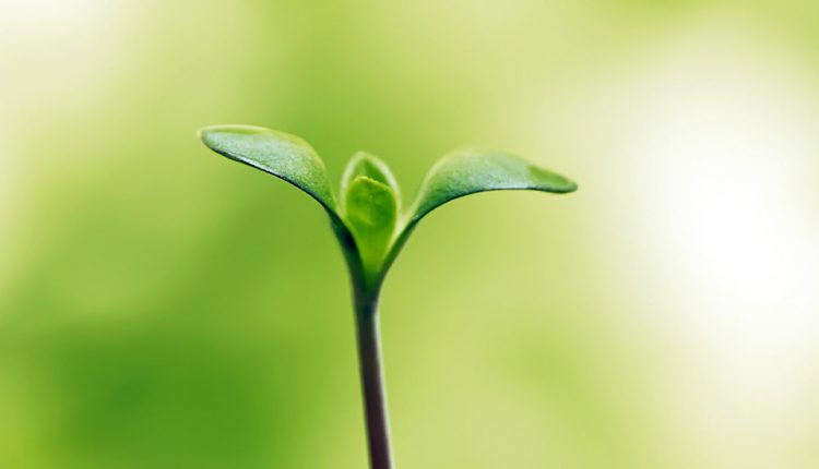 برای تو – ۵ راه برای افزایش امید در زندگی (2021)