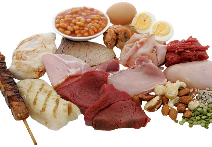 دانستنی های بدنسازی - پروتئین در عضلهسازی نقش مهمی دارد.