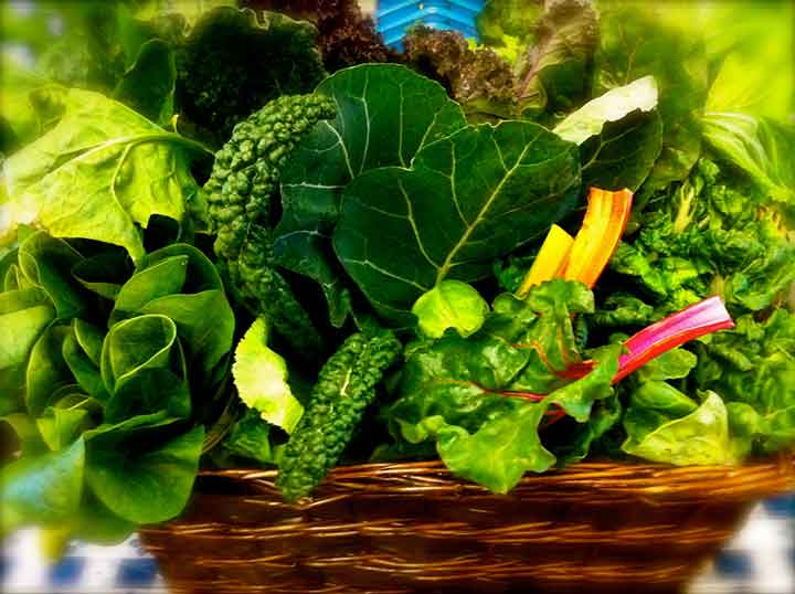  مضرات خام گیاهخواری چیست