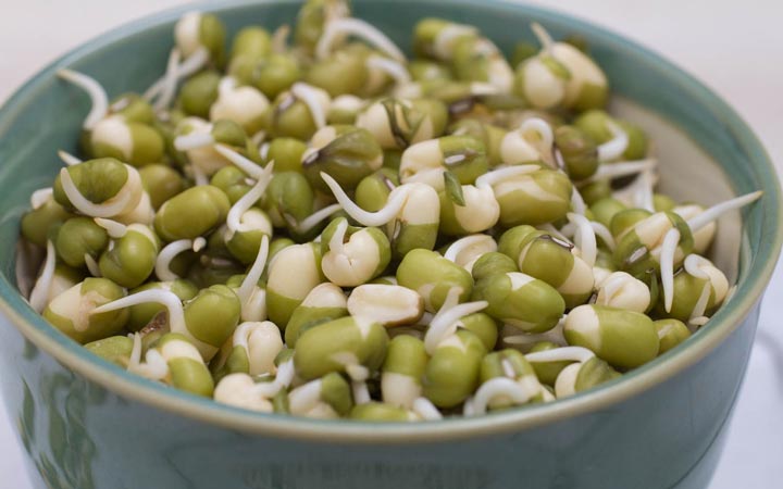 خاصیت جوانه ماش - کنترل دیابت