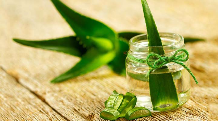 چگونه پوستی بدون لک داشته باشیم - آلوئه ورا