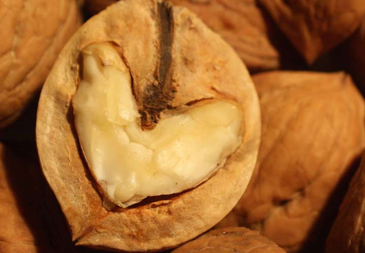کمک به سلامت قلب از خواص گردو است.