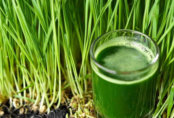 علف گندم برای رفع بوی بد بدن