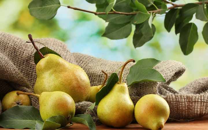 گلابی - ۱۰ میوه مفید برای دیابتی‌ها