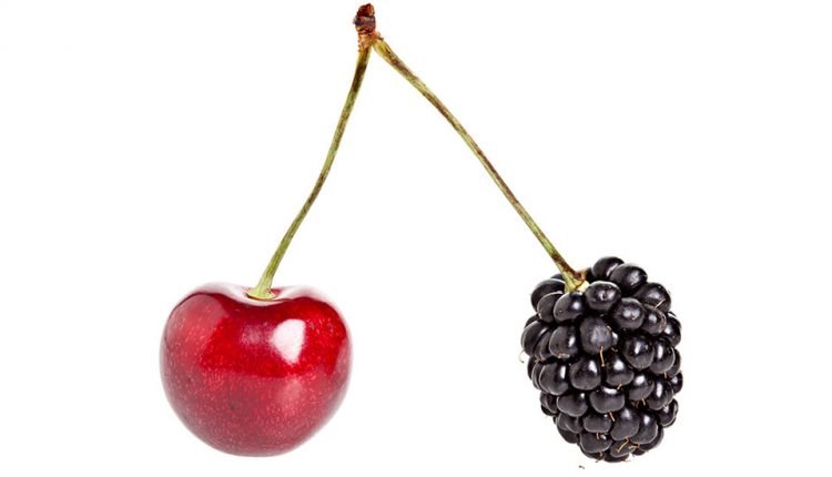 چرا باید حداقل دو تخصص کاری داشته باشید
