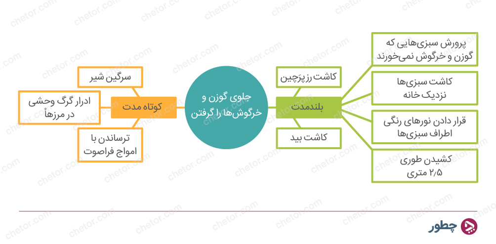 خلاقیت در تصمیم گیری