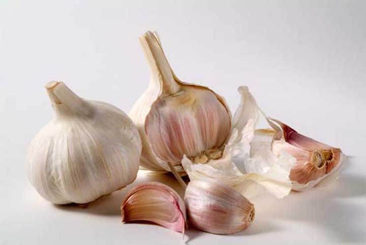 There are about 10 to 20 cloves of garlic per plant - the properties of garlic