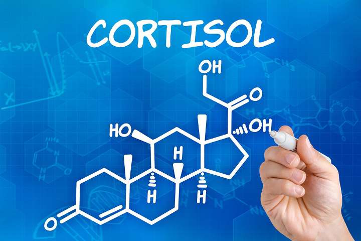 کورتیزول یک هورمون چاقی است