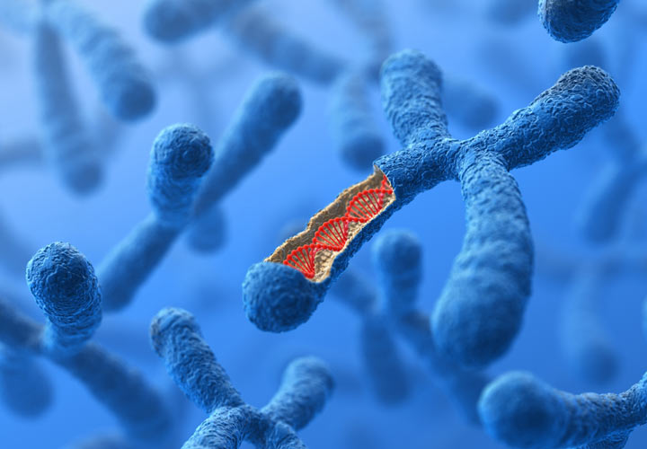 ساختار DNA در کروموزوم - هموفیلی