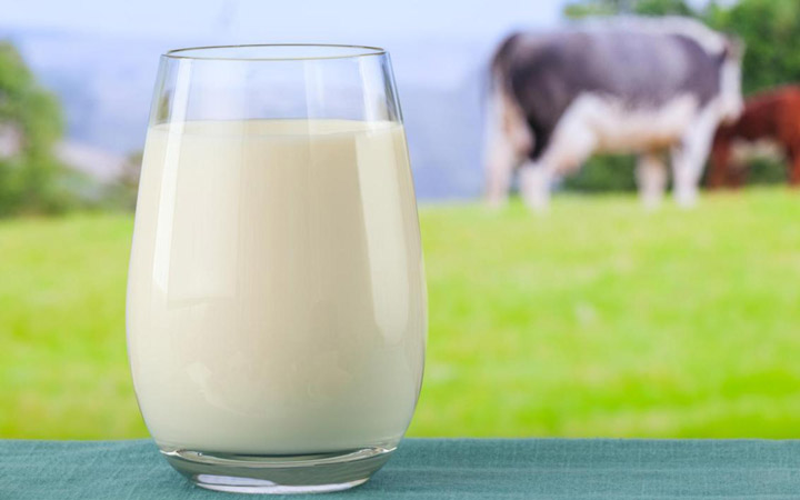 افزایش شیر مادر - شیر گاو