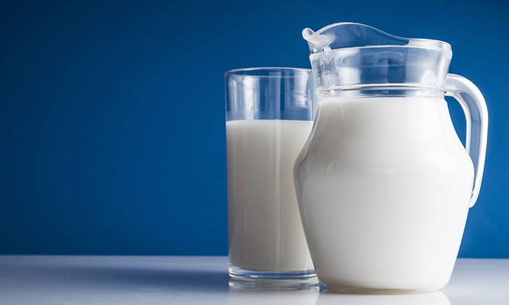 شیر منبع پروتئین