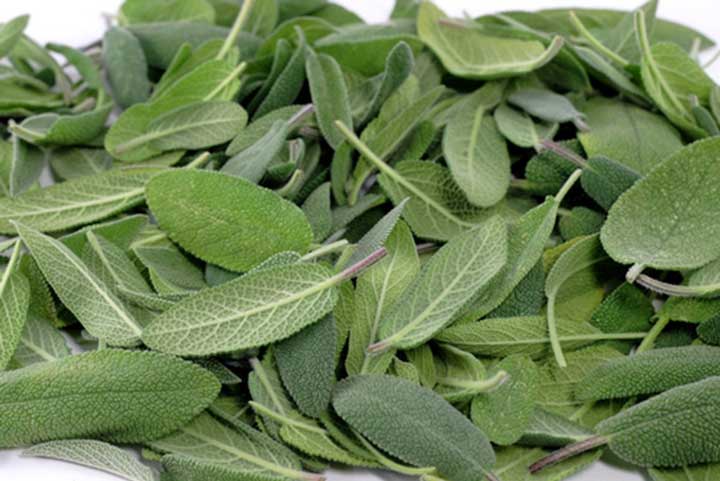 عرق کردن کف دست، مریم گلی