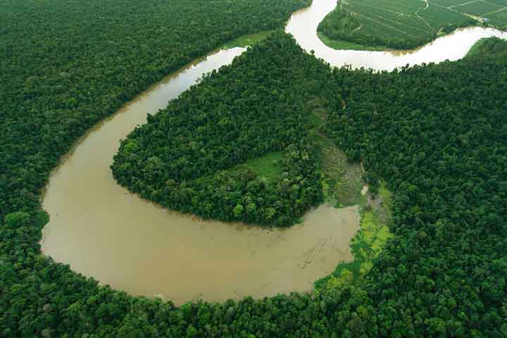 kinabatangan.jpg