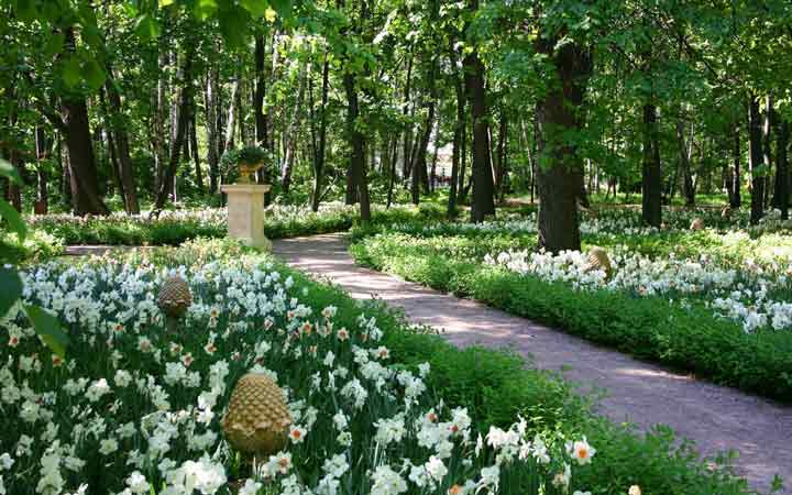 جاهای دیدنی مسکو - پارک نِسکوچنی