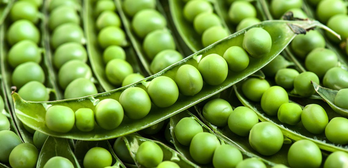 خواص نخود فرنگی و برخی از عوارض احتمالی مصرف آن - چطور