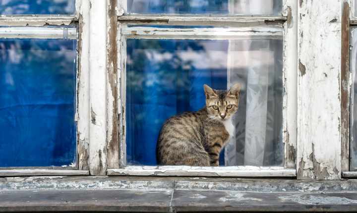 ترفندهای فروش ملک - رنگ نامناسب