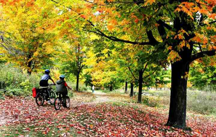 جاهای دیدنی تورنتو - های پارک (High Park)