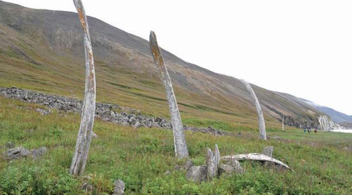 باریک‌راه استخوان نهنگ