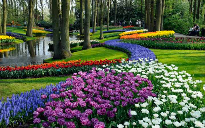 جاهای دیدنی آمستردام - باغ‌های گل آمستردام