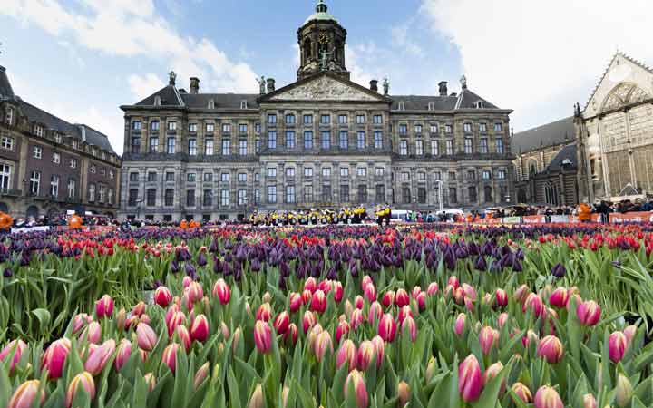 جاهای دیدنی آمستردام - کاخ سلطنتی