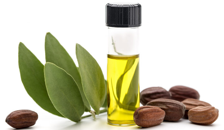 روغن جوجوبا+خواص و فواید آن