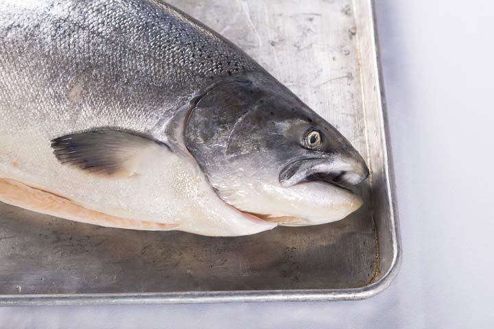 نگهداری از ماهی سالمون در انگلستان در شرایط مشکوک