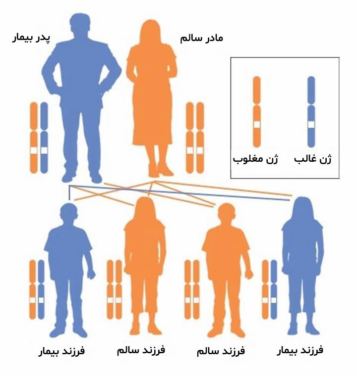 بیماری ای بی - الگوی وراثت اتوزومال غالب