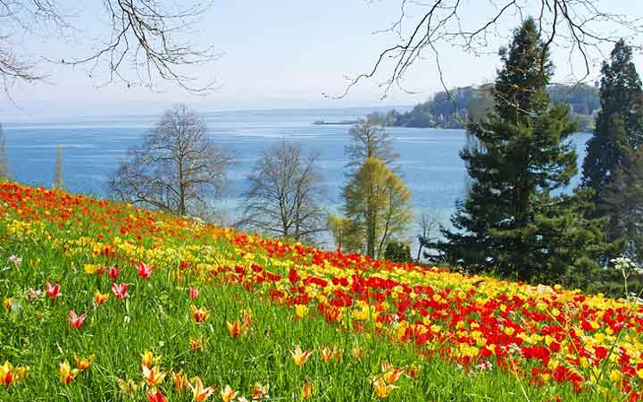 جاهای دیدنی آلمان - جزیرهی گلهای دریاچهی کُنستانس