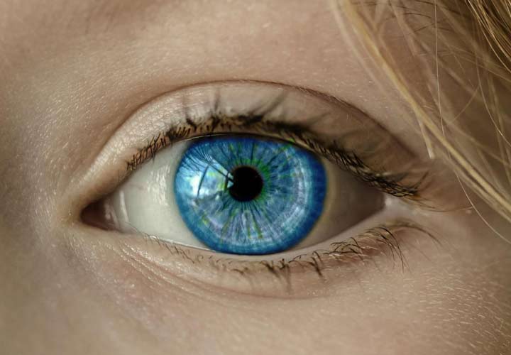 خواص حرفه - ویتامین A و بتاکاروتن موجود در خرفه به سلامت چشم و تقویت بینایی کمک می‌ کنند.