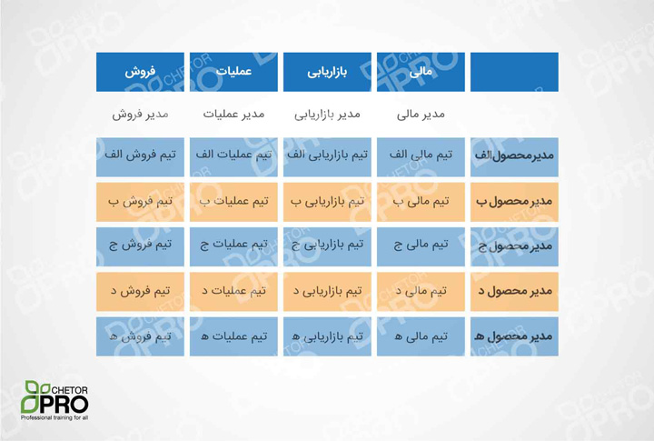 سازمان با ساختار ماتریسی