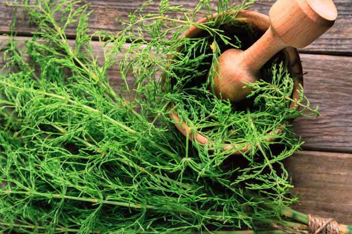 خواص برگ سنا - درست کردن چای
