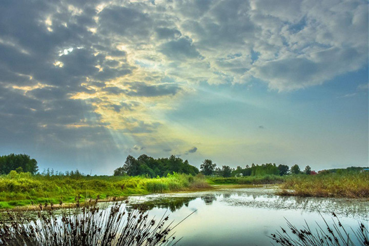 Photo by Behnam Salhshouri - Sights of Bandar Anzali