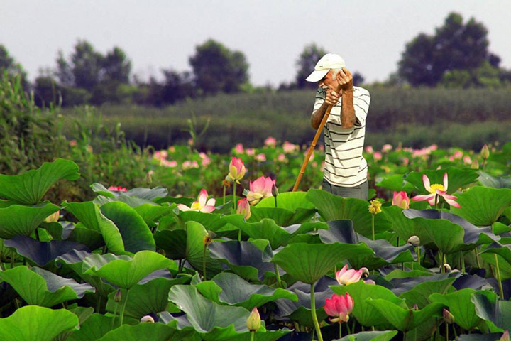 Anzali Wetland - Photo by Milad Monsef