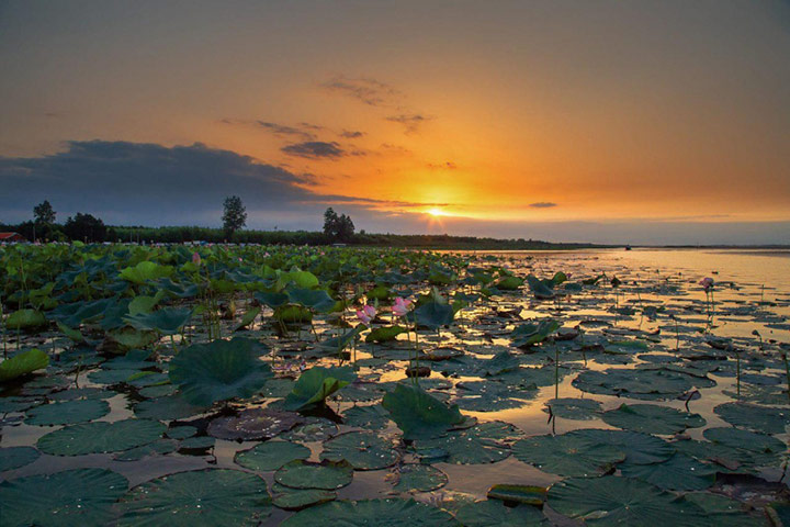 Photo by Saeed Mahmoudi
