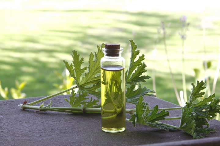 روغن اسطوخودوس برای مو - عوارض جانبی