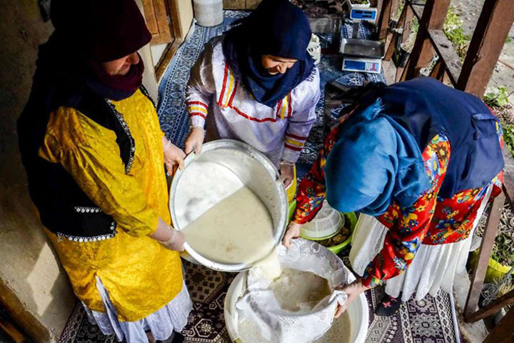 خواص سمنو - عکس از ابوذرحمیدی جیرنده - ایرنا