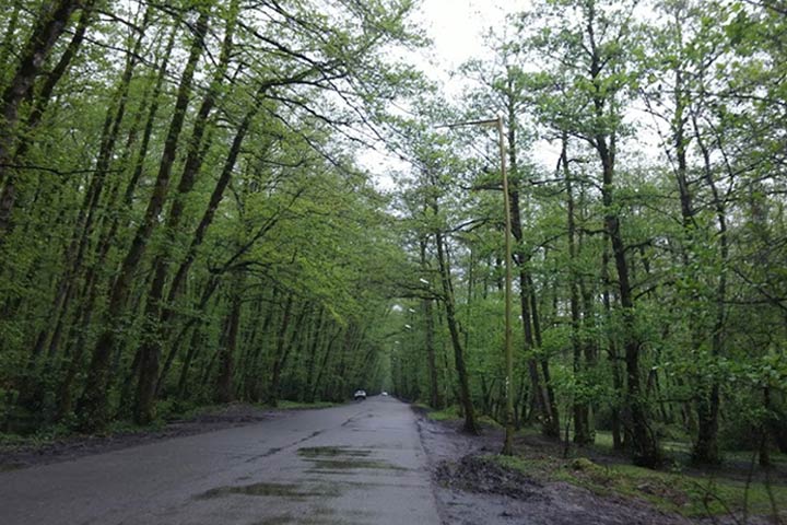 Gisom Beach Green Road - Photo by Raha Nasiri