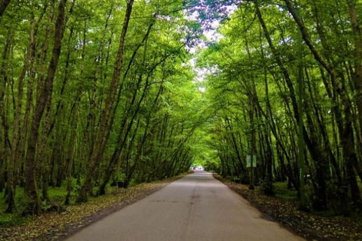 Gisum beach route - Photo by Reza Arabi