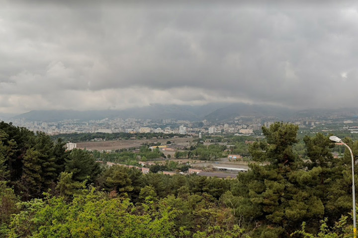 لویزان از پارک های جنگلی تهران - عکس از کیوان گلستان