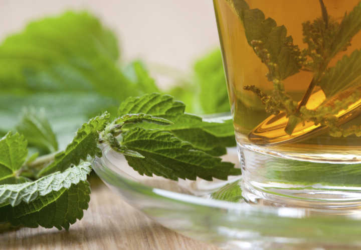 استفاده از گیاهان دارویی برای درمان بزرگ شدن پروستات