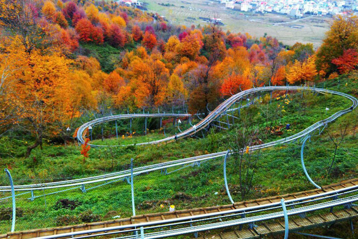 جاهای دیدنی تالش - سورتمه سواری در جنگل سیاه داران